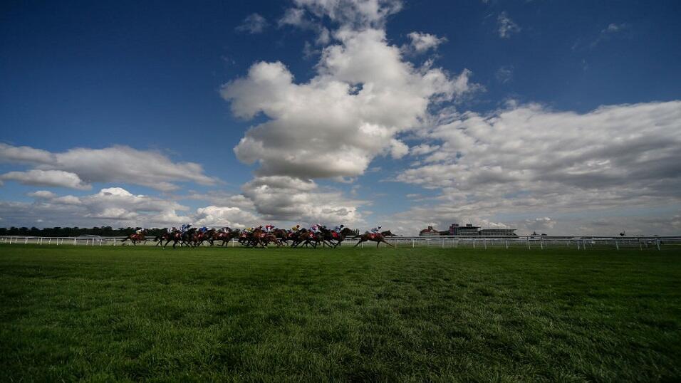 York Racecourse
